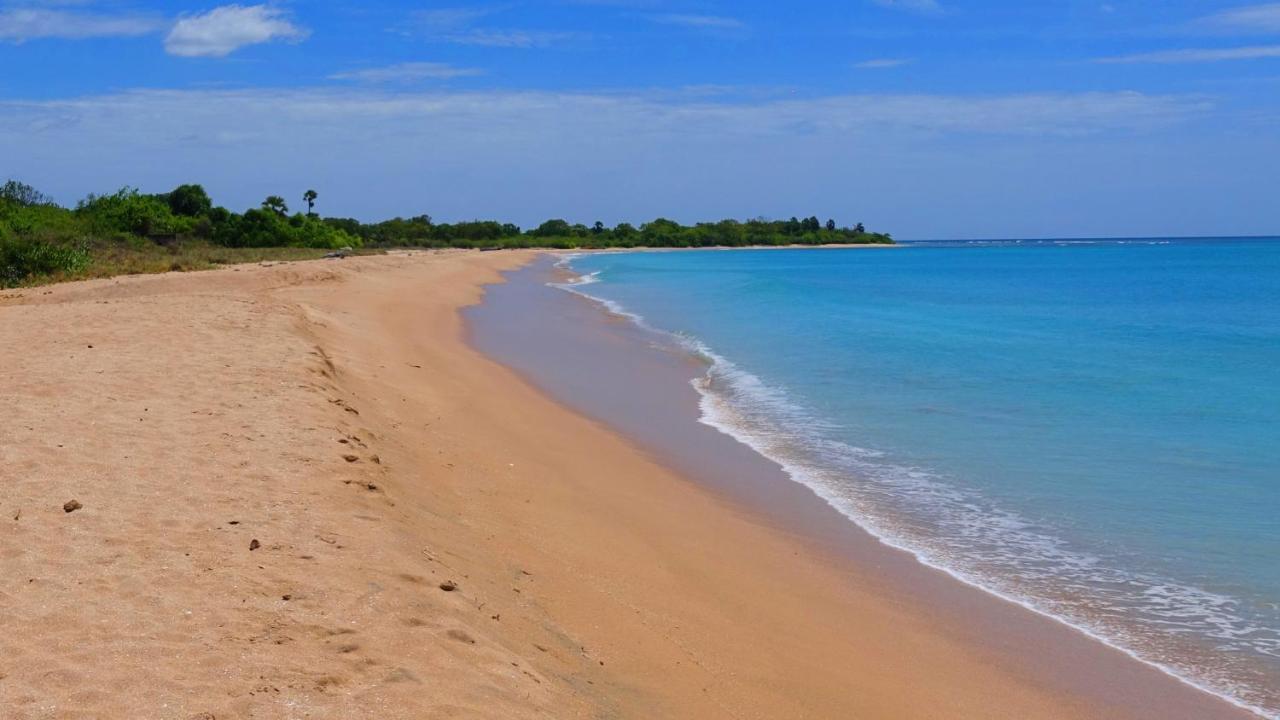Regina Beach Bungalow Trincomalee Bagian luar foto