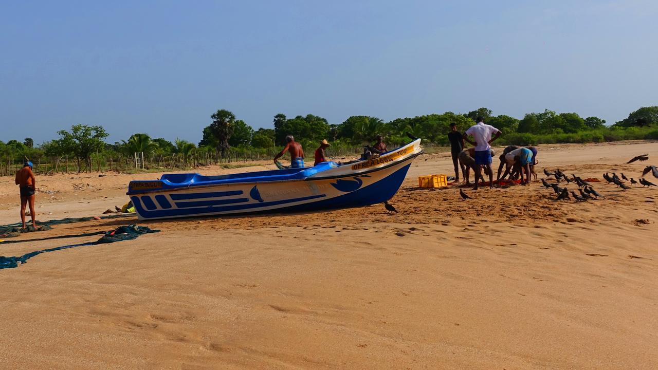 Regina Beach Bungalow Trincomalee Bagian luar foto